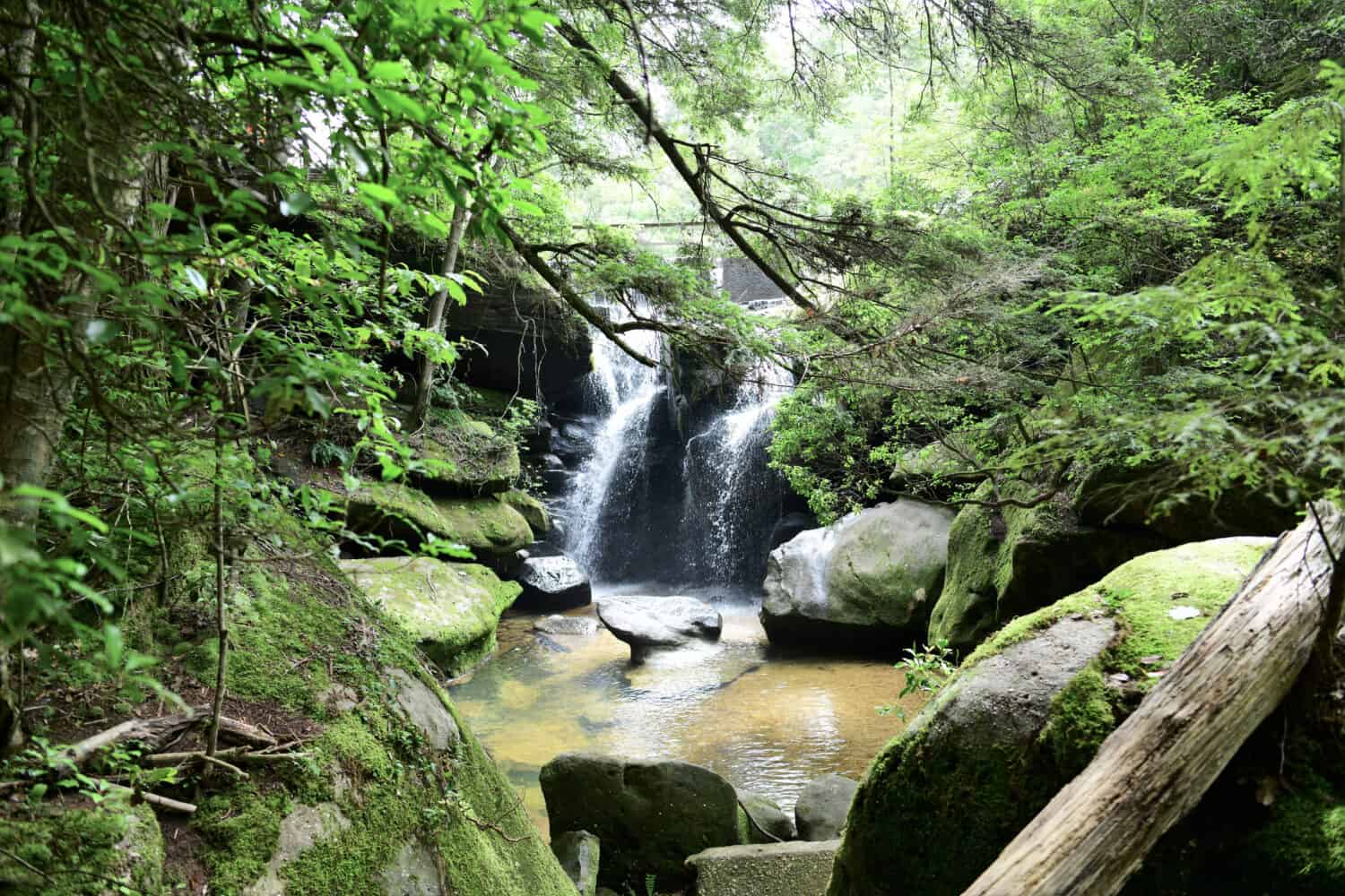 Un ruscello tranquillo e appartato scorre tra le rocce ricoperte di muschio nella gola di arenaria del Dismals Canyon, Alabama, dichiarato Patrimonio dell'Umanità dal 1974