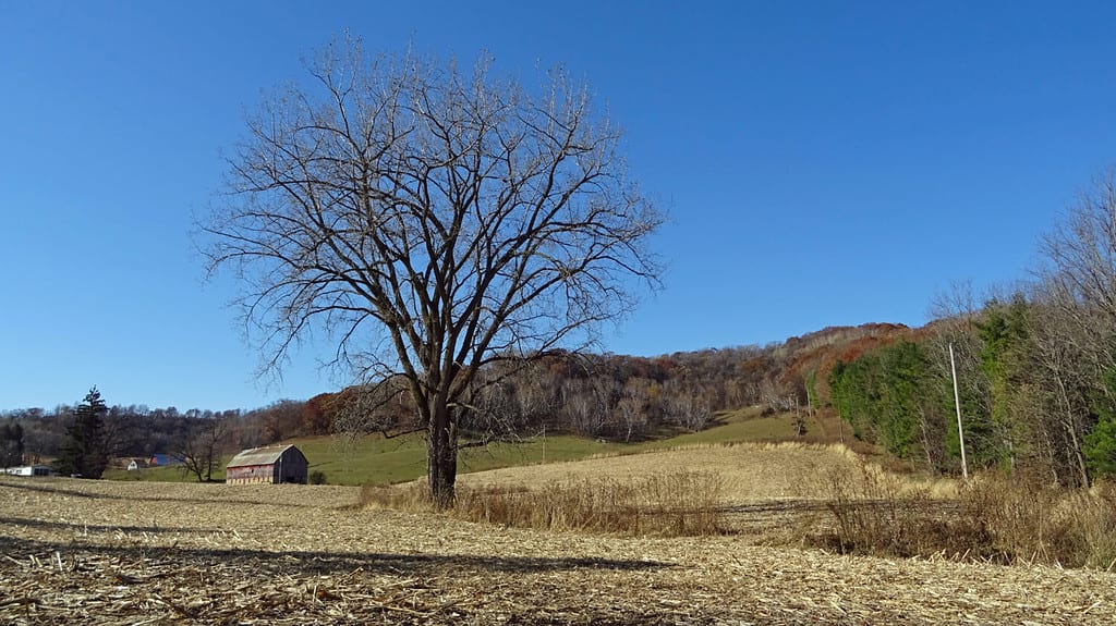 La campagna nel tardo autunno vicino a Dover, Wisconsin