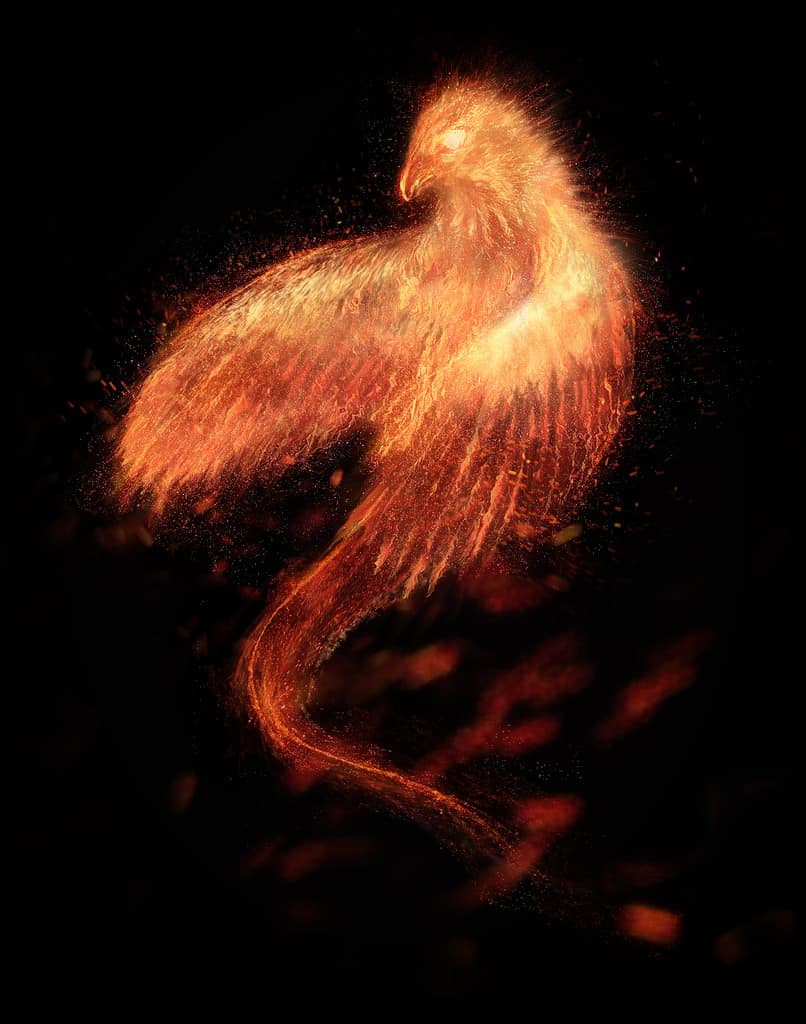 Fenice bruciante dell'uccello isolata.