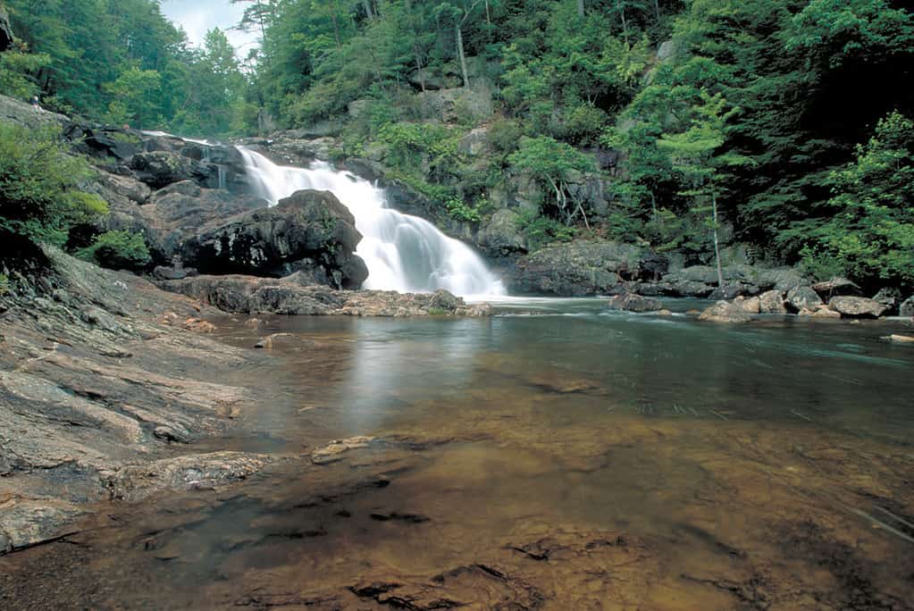 Cascate del fiume Jacks, Cohutta Wilderness, Georgia