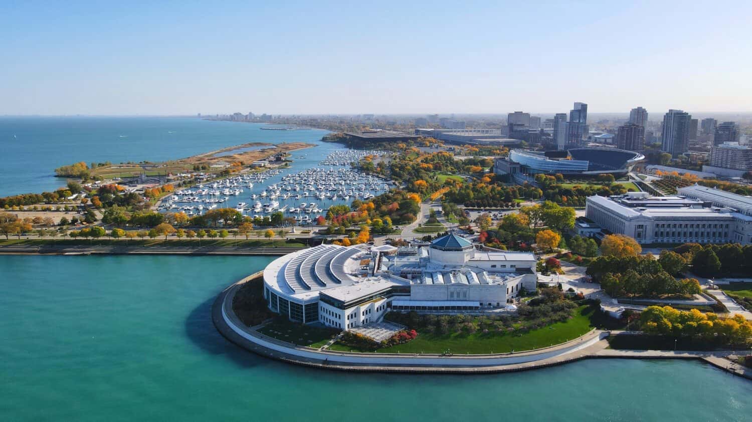 Un bellissimo scatto dello Shedd Aquarium di Chicago