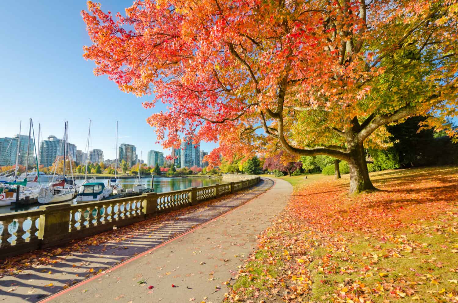 I colori dell'autunno. Splendida passeggiata sul mare nel parco. Stanley Park a Vancouver. Canada.