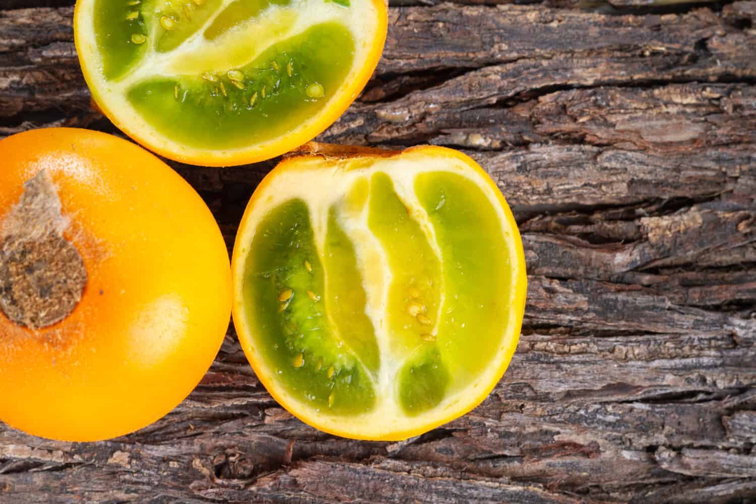 Frutto di lulo su corteccia d'albero (Solanum quitoense)