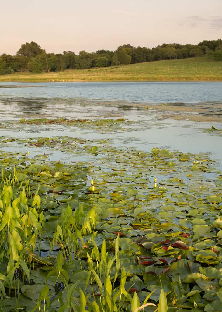 Lago Anita State Park Iowa