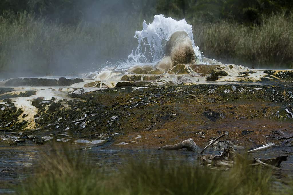 Sorgenti termali nel Parco Nazionale di Semuliki, Uganda