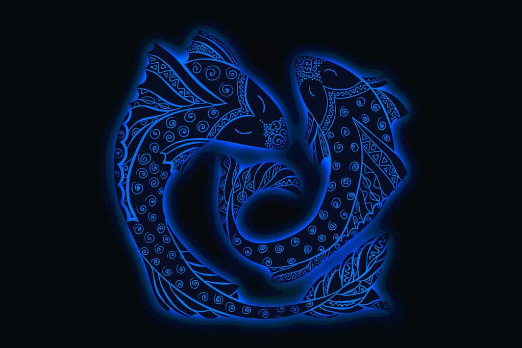 19 febbraio zodiaco