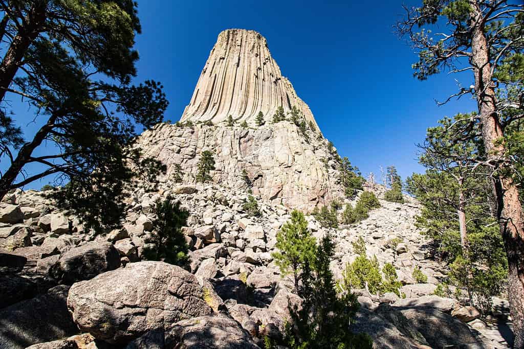 Il monumento nazionale di Devils Tower negli Stati Uniti