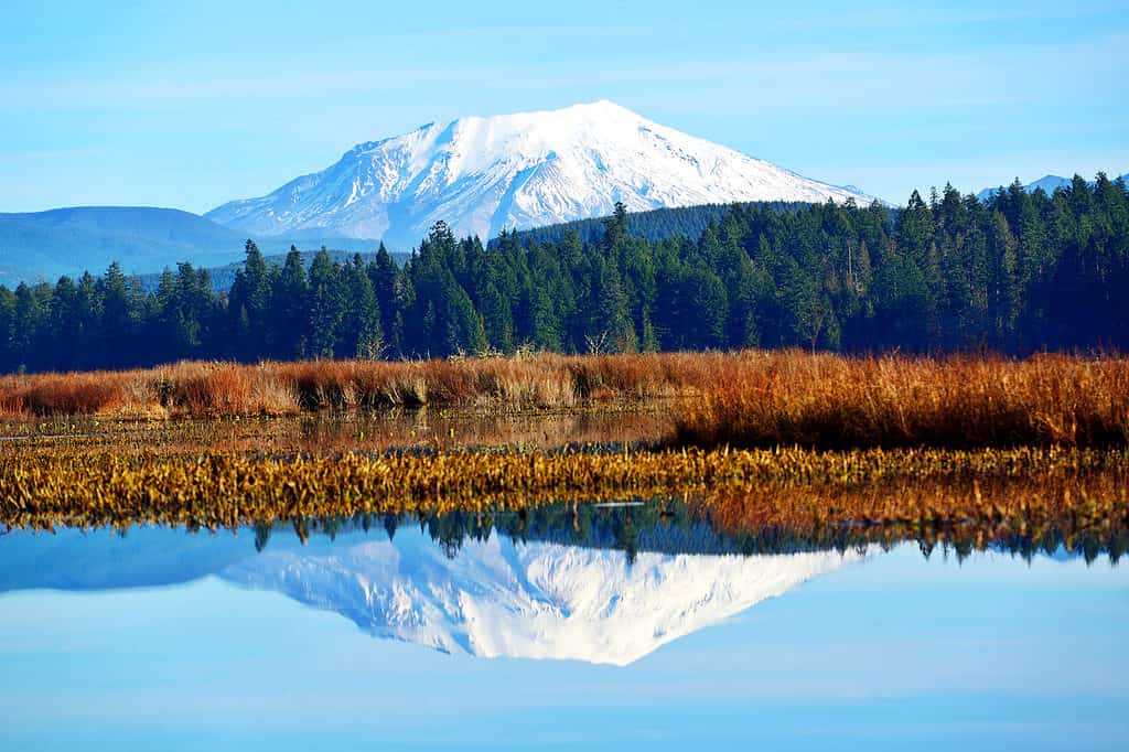 Mount St. Helens è il sesto vulcano più alto dello stato di Washington, nonché uno dei più attivi.
