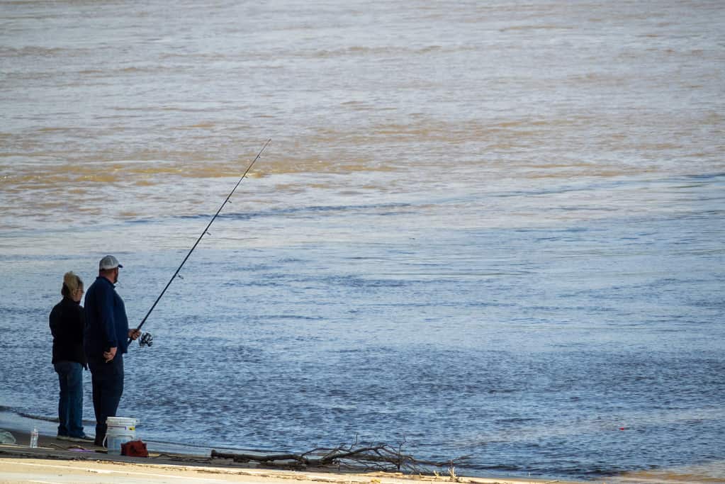 Un paio di pesci lungo le rive del fiume Ohio sulla scia della pandemia di Coronavirus COVID-19, mercoledì 6 maggio 2020, a Cincinnati, Ohio, Stati Uniti.