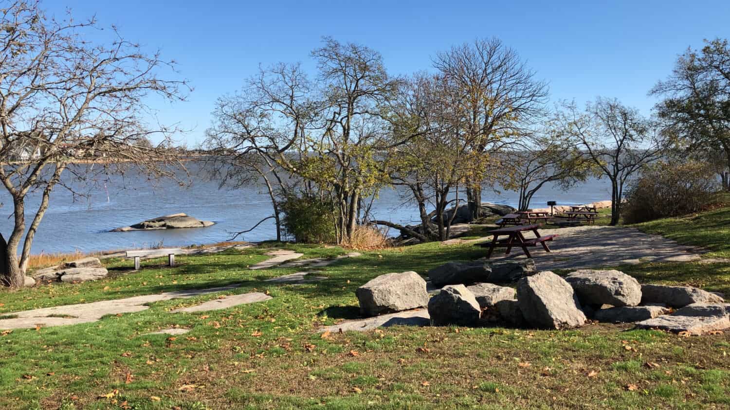 Paesaggio del parco dell'isola del fringuello