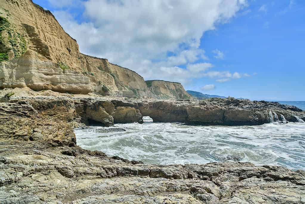 Spiaggia scolpita Scogliere dell'Oceano Pacifico a Point Reyes National Seashore