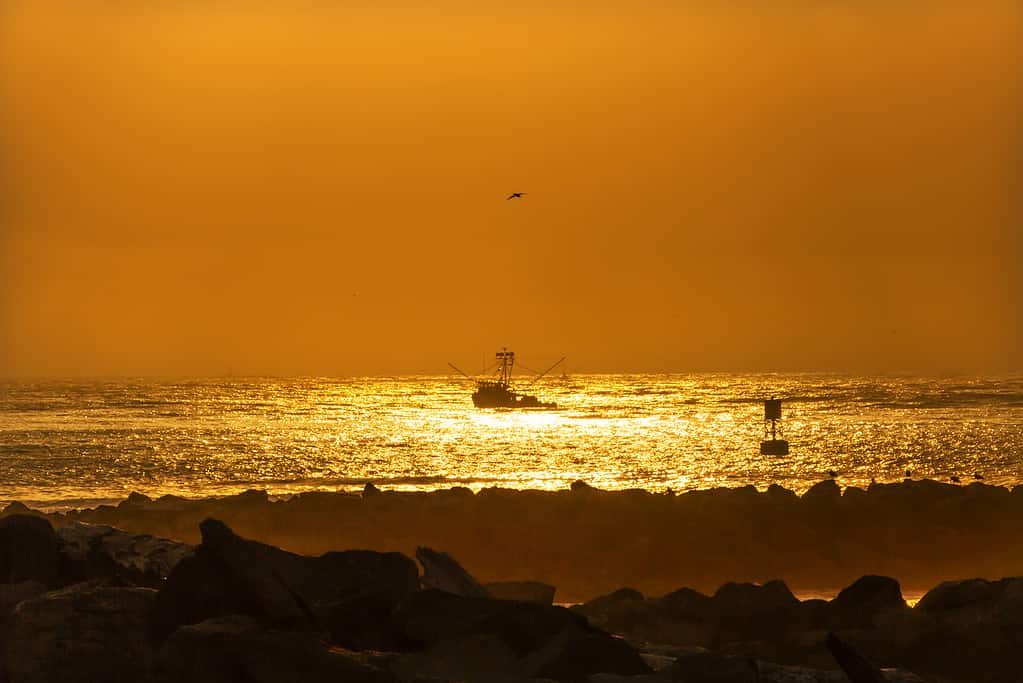 Barca da pesca lasciando Westport Sunset Buoy Grays Breakwater Harbour Puget Sound Stato di Washington Pacific Northwest