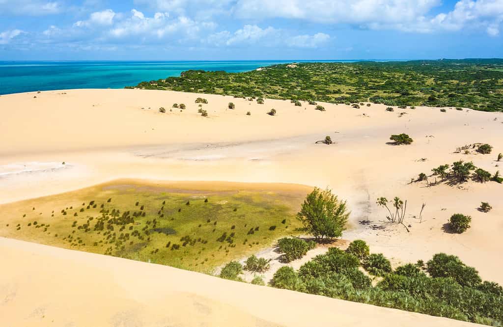 dune di sabbia al parco nazionale di bazaruto