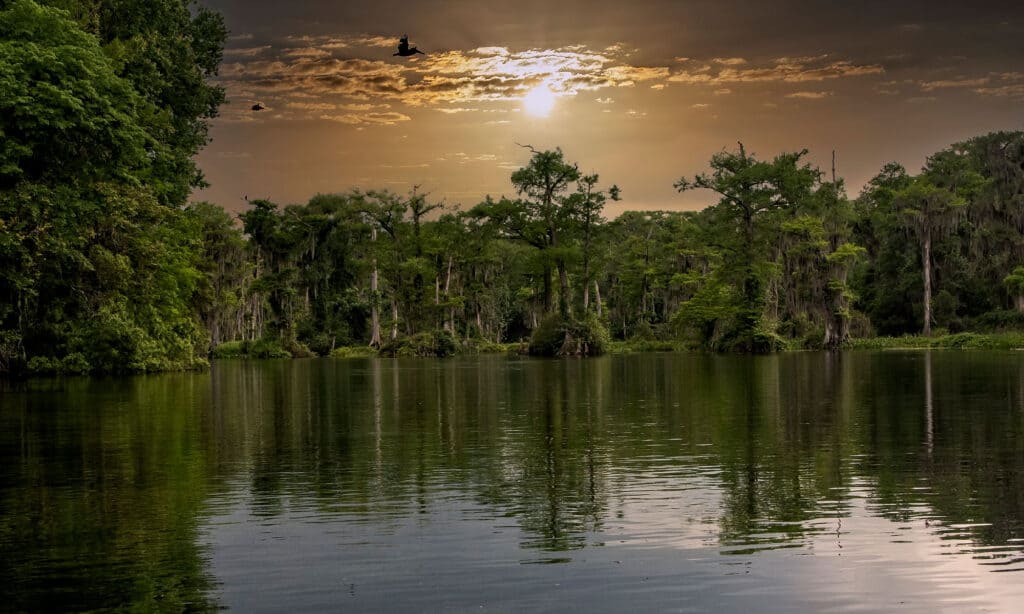 Wakulla Springs Florida