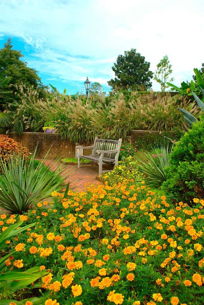 Giardino botanico delle sponde del fiume