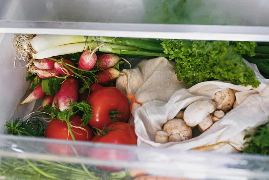 Borsa frigorifero per la conservazione dei funghi champignon