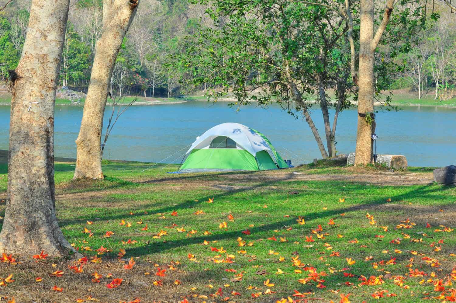 Bella mattinata in campeggio. La tenda è dalla parte del fiume. I fiori stanno cadendo a terra