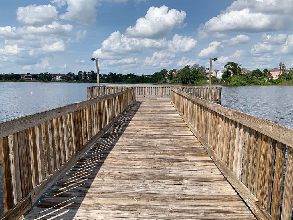 Bill Frederick Park, FL- miglior campeggio vicino a Orlando