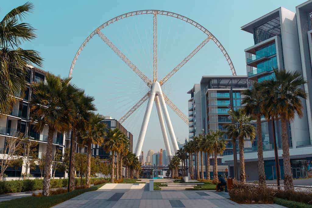 Vista di Dubai Eye su Bluewaters Island, Dubai, Emirati Arabi Uniti