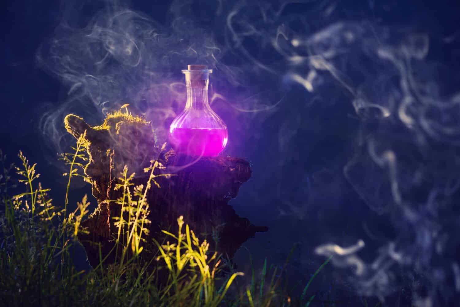 bottiglia di pozioni magiche nella foresta magica