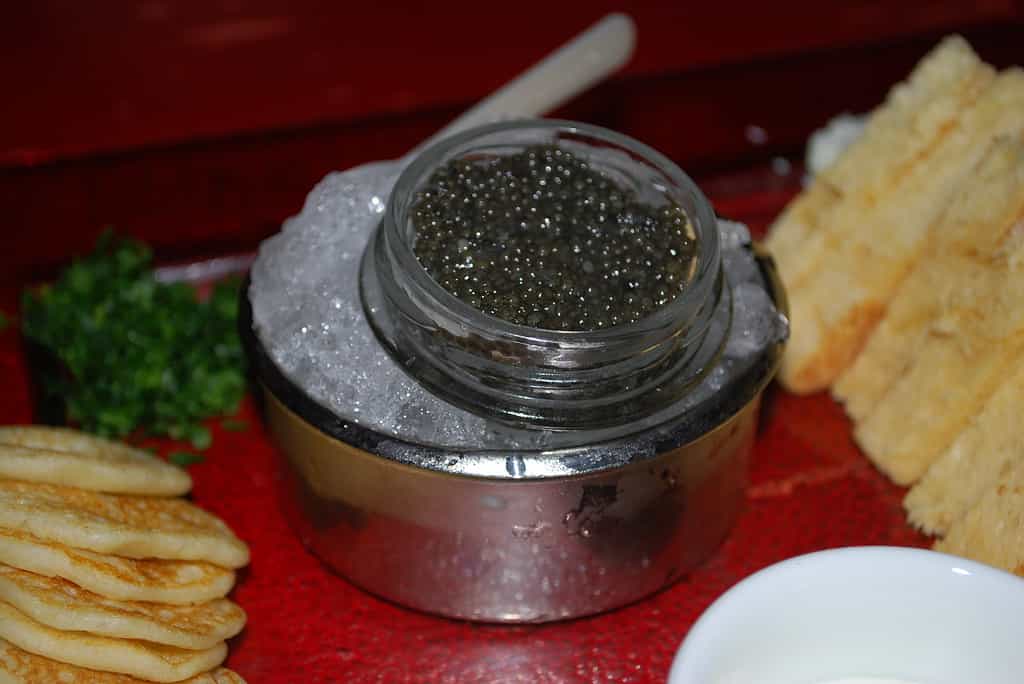 caviale grigio