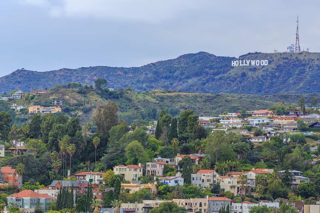 Segno di Hollywood