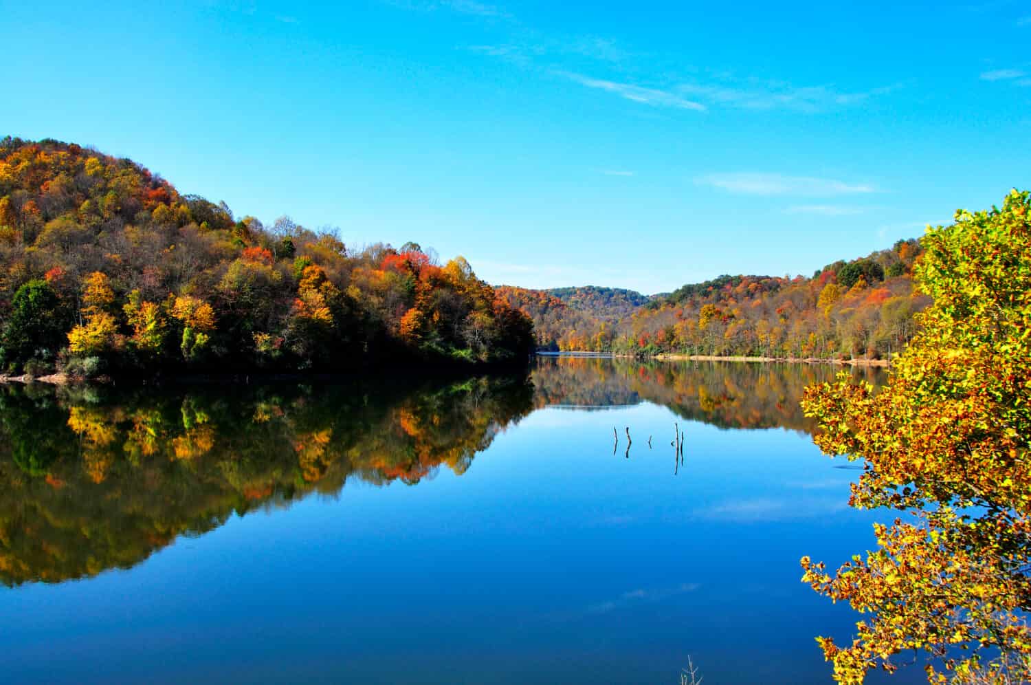 Autunno, Stonecoal Lake Wildlife Management Area, West Virginia, Stati Uniti d'America