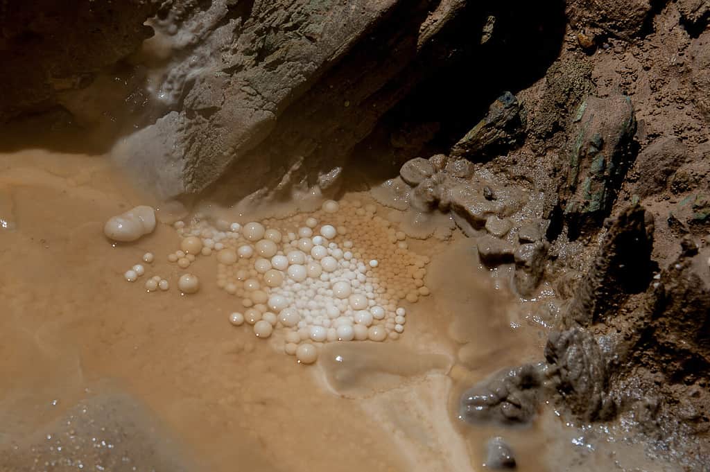 Perle di grotta nella grotta carsica Leningradskaya.  Montagne del Caucaso.  Abkhazia.