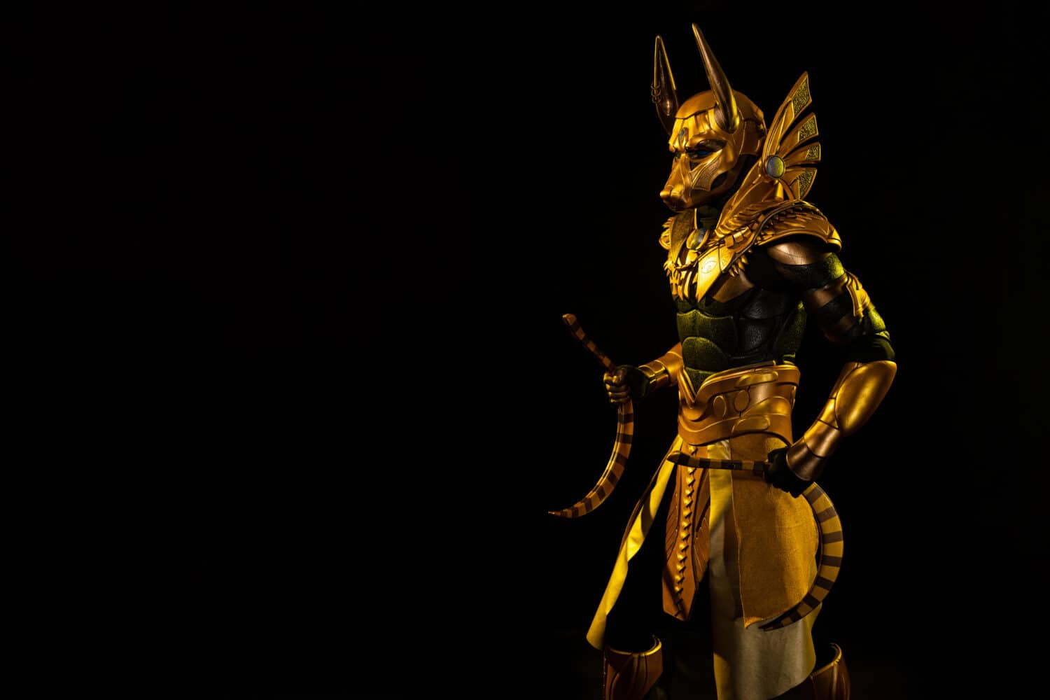 un attore maschio in un abito di un personaggio della mitologia egizia, la divinità d'oro Sciacallo Anubi, colpi di scena buugeng in luce gialla su sfondo nero