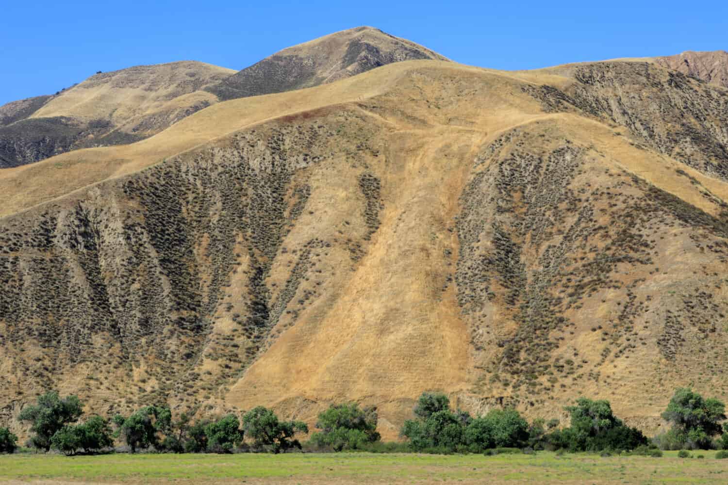 Deserto di Paicines. Contea di San Benito, California, Stati Uniti.