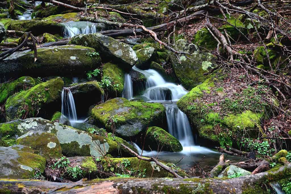 fumoso parco di montagna Cime dei camini