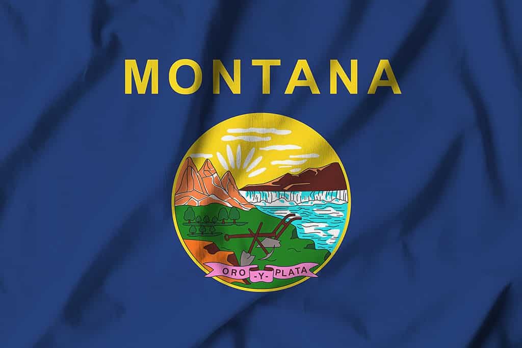 Bandiera del Montana