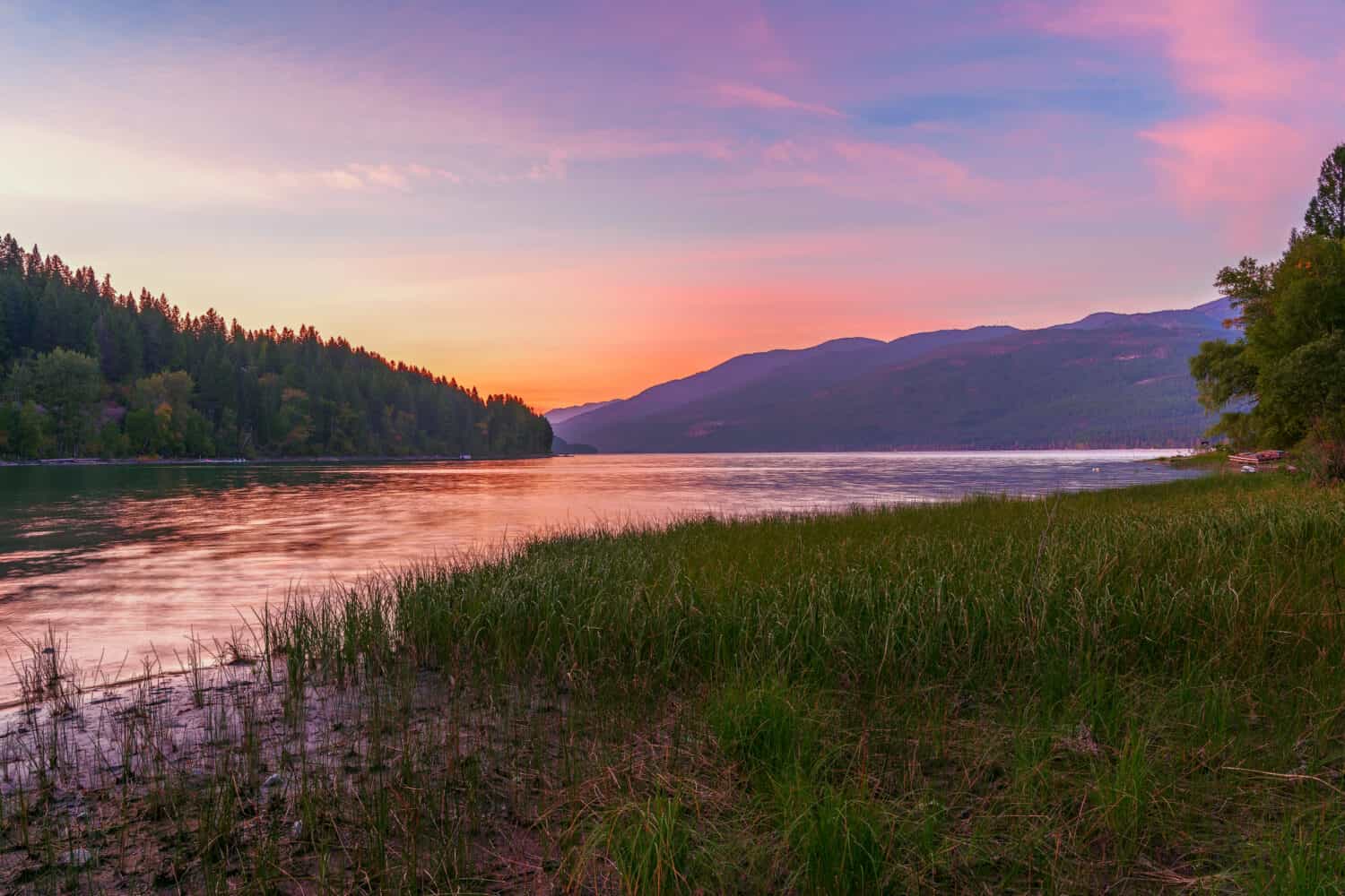 Lago di coregone.  Contea di Testa Piatta.  Montana.  Stati Uniti d'America
