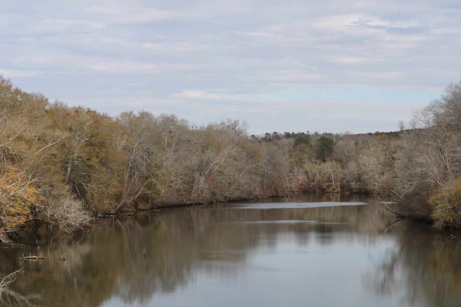 Fiume del lago Jackson in Georgia