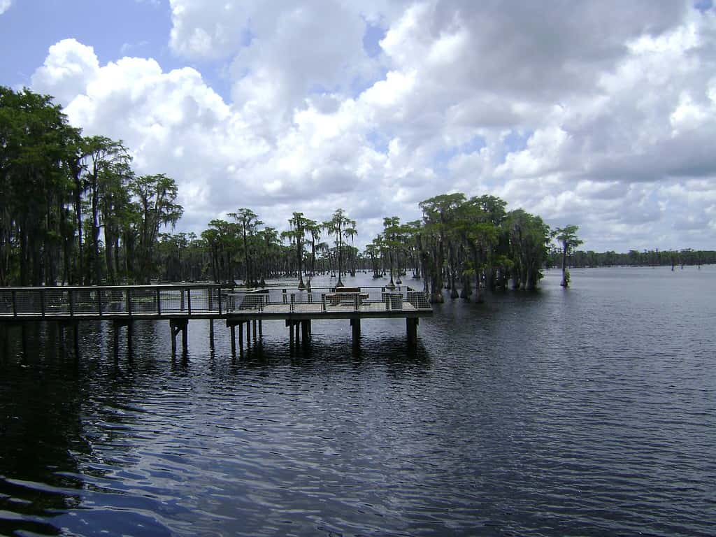 Banks_Lake_National_Wildlife_Refuge_View