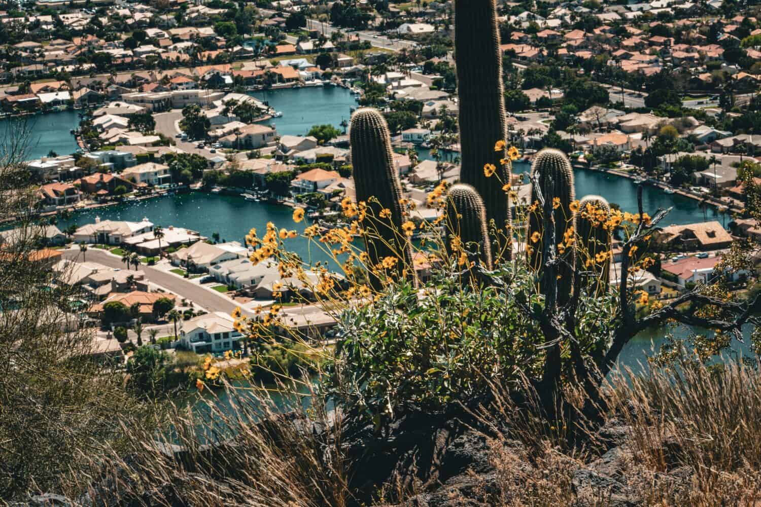 Foto paesaggistiche di Desert Mountain