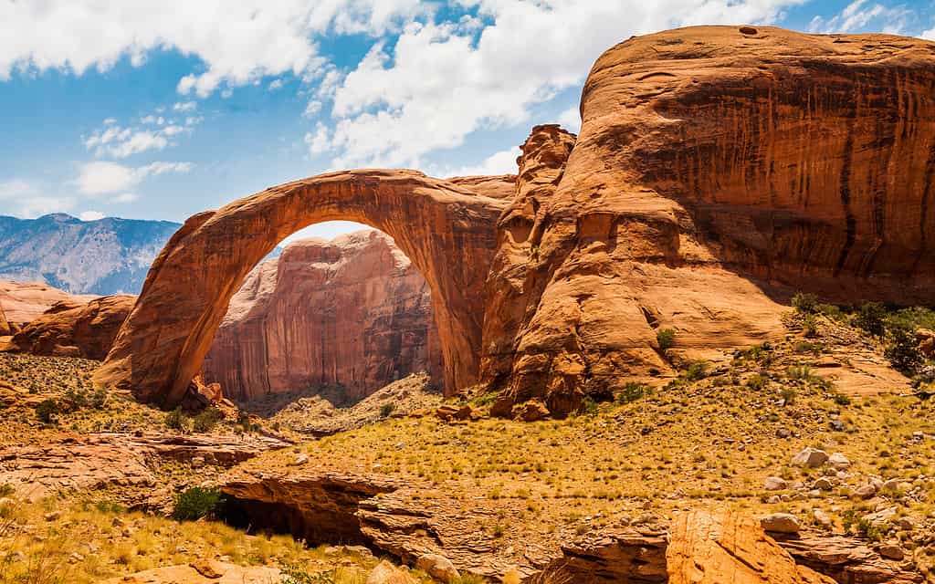 2015, clima arido, sterile, bellezza naturale, zona desertica