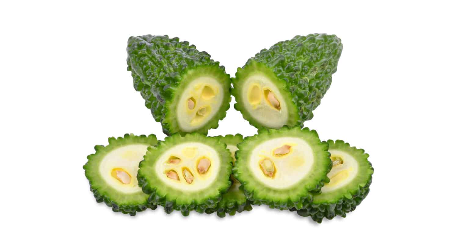 Fette di melone amaro, zucca amara isolati su sfondo bianco.