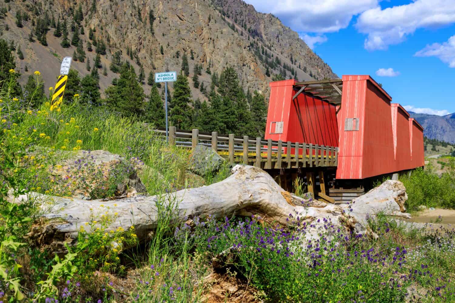 Il ponte ferroviario Ashnola n. 1 misura 135 metri sul fiume Similkameen della Columbia Britannica, situato a Keremeos, nella Columbia Britannica.