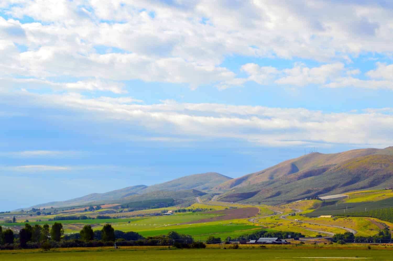 Ellensburg - Manastash RidgeIl sole splende su Manastash Ridge mentre i primi frutti dell'estate iniziano ad essere offerti e l'uva inizia a maturare.