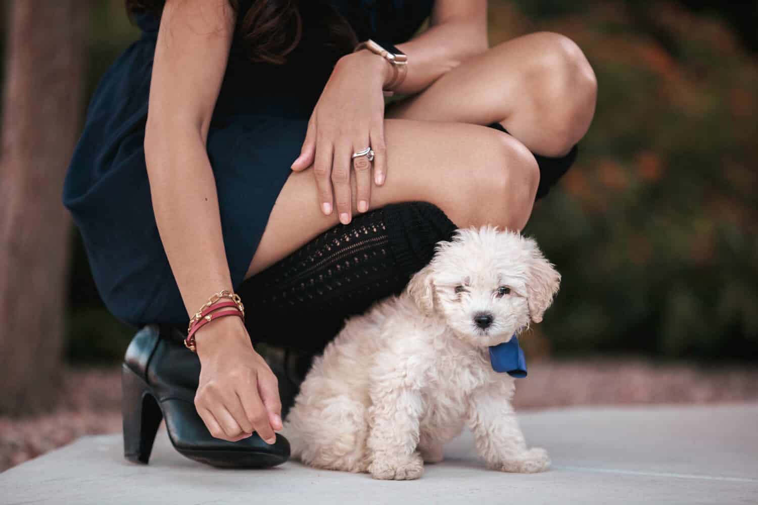 bella ragazza filippina asiatica che indossa un vestito e stivali inginocchiati accanto a un simpatico cucciolo di maltipoo color crema con un fiocco blu su di lei 