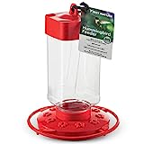 First Nature 3055 Mangiatoia per colibrì da 32 once