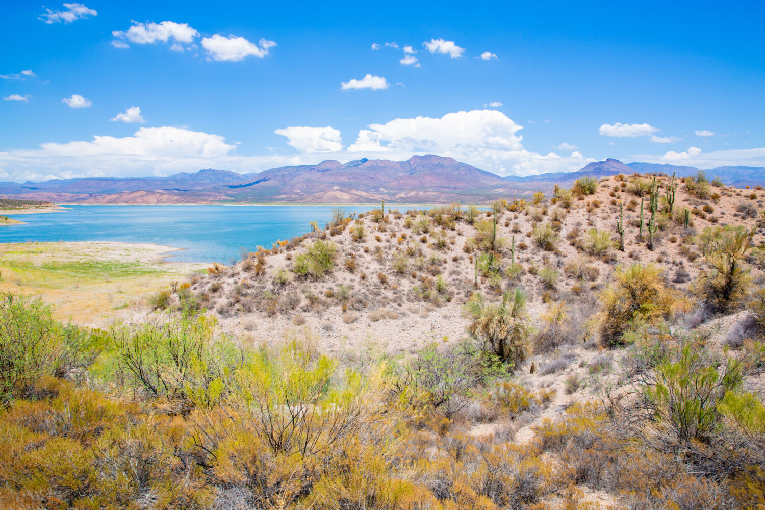 Theodore Roosevelt Lake Recreation Area nella foresta nazionale di Tonto, Arizona, Stati Uniti