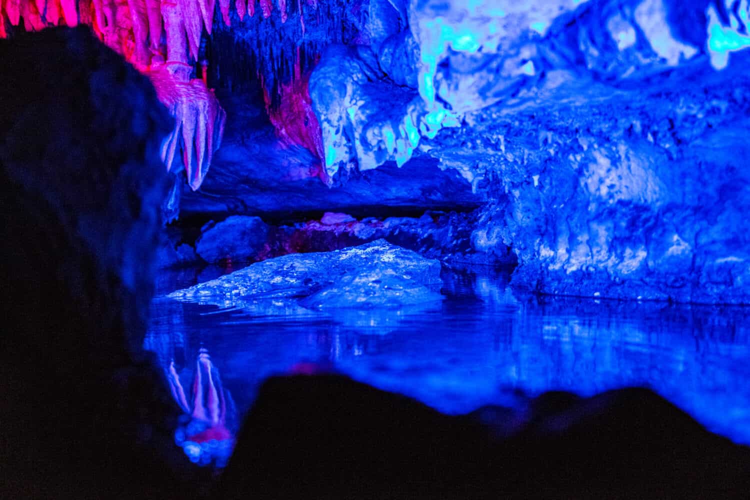 Rubino cade Chattanooga TN