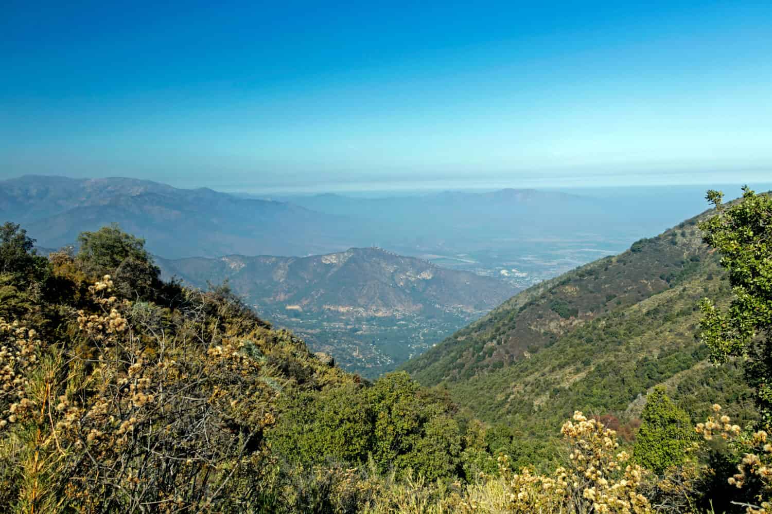 Vista sulle montagne delle Ande e dell'Aconcagua con la foresta di alberi verdi dal Cerro la Campana, montagna costiera di Valparaiso, in una giornata limpida nel parco nazionale La Campana nel Cile centrale, Sud America