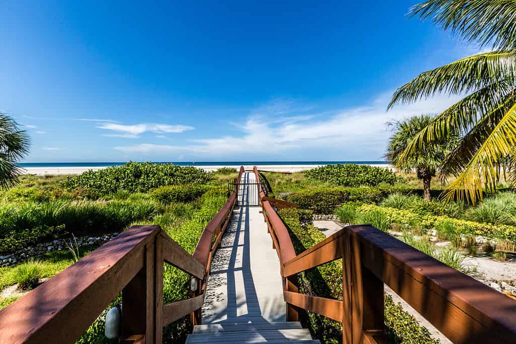 Passeggiata a bordo di Marco Island in Florida