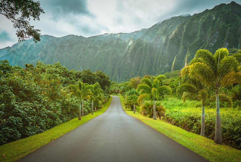 Ho'omaluhia Botanical Park a Oahu Island nelle Hawaii, Stati Uniti.