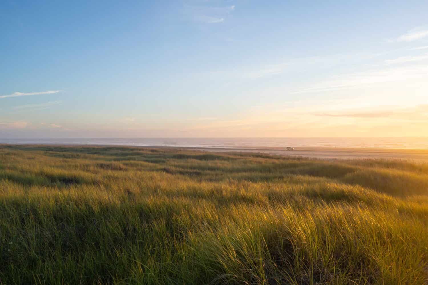 Clark's Tree è una scultura commemorativa in bronzo a Long Beach, Washington, che commemora il viaggio di Lewis e Clark attraverso il Nord America.  Si trova su una duna sopra la spiaggia dell'Oceano Pacifico a Breakers