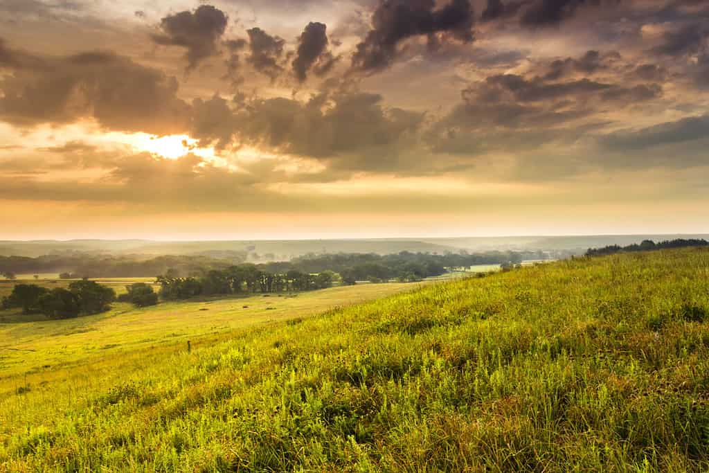 Una leggera nebbia e una pesante rugiada riempiono la valle mentre quest'alba riscalda il cielo in una mite mattinata estiva nella Kansas Tallgrass Prairie Preserve.