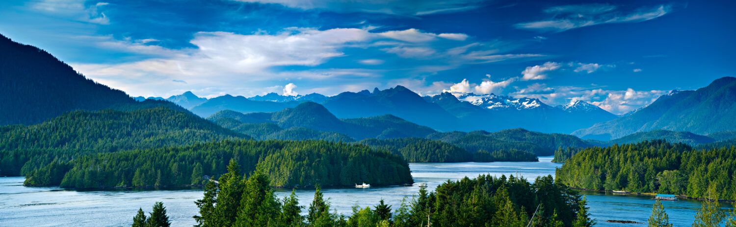 Vista panoramica di Tofino.  Il sonnolento villaggio di Tofino, sulla costa occidentale dell'isola di Vancouver, sta diventando un punto caldo per il turismo e le seconde case.